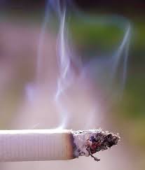cigarette - Nos habitudes : découvrez les 3 types